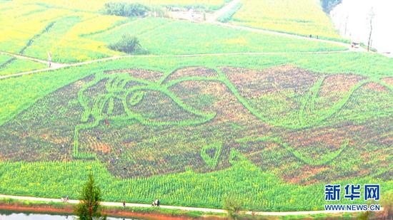  ͼΪ�Ͳ˻���ɵĳ���ͼ�����»������������� �㣩