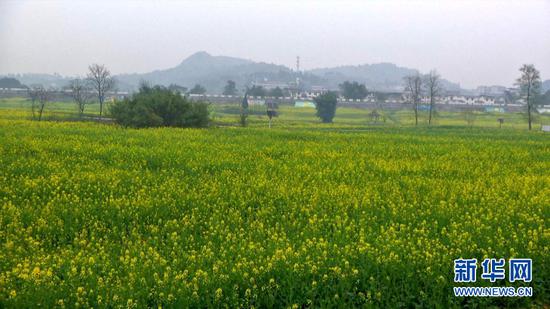  ͼΪ���ɫ�Ͳ˻�����ʢ�����»������������� �㣩