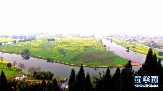  ͼΪ���ҹ��ﾰ����ɫ�Ͳ˻�ʢ����ɵ�ͼ�����»������������� �㣩