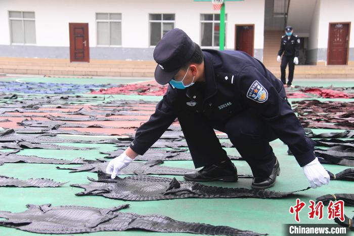 ͼΪ�񾯽�����Ƥ���аڷš����λ� ��