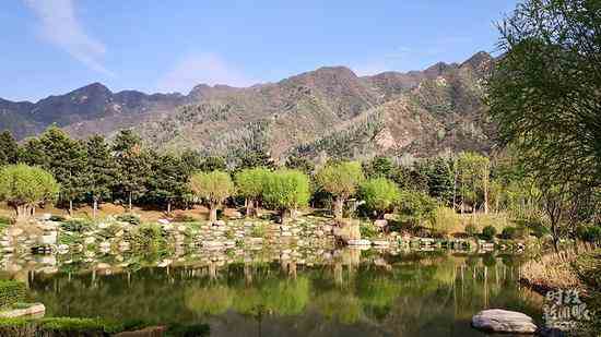 ����Ⱥ�ͱ�ҵ������Ⱥ�������ĵؿ��Ѹ�Ϊ�����гɭ�ֹ�԰��������ͼ��