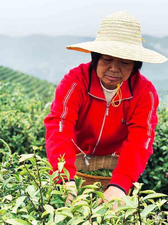 ��������ƽ����Ů洷�˲�ҵ�ִ�ʾ��԰����ϰ��ƽ�ڿ�������ʱ˵����ˮ��ɽ������Ȼ�Ƹ������Ǿ��òƸ�������̨���Ӽ����ϱ����㣩