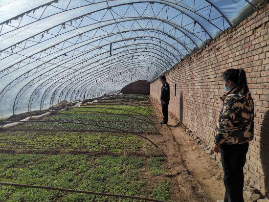 ͼΪ����������߽��߲˴�����ֲ���̤�顣