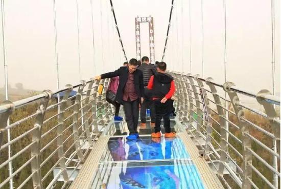 ���첣����